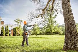 How Our Tree Care Process Works  in  Monroe, IA